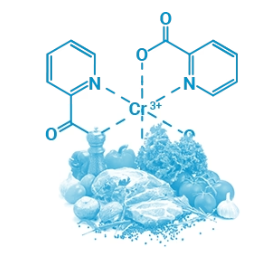 Chromium-Picolinate